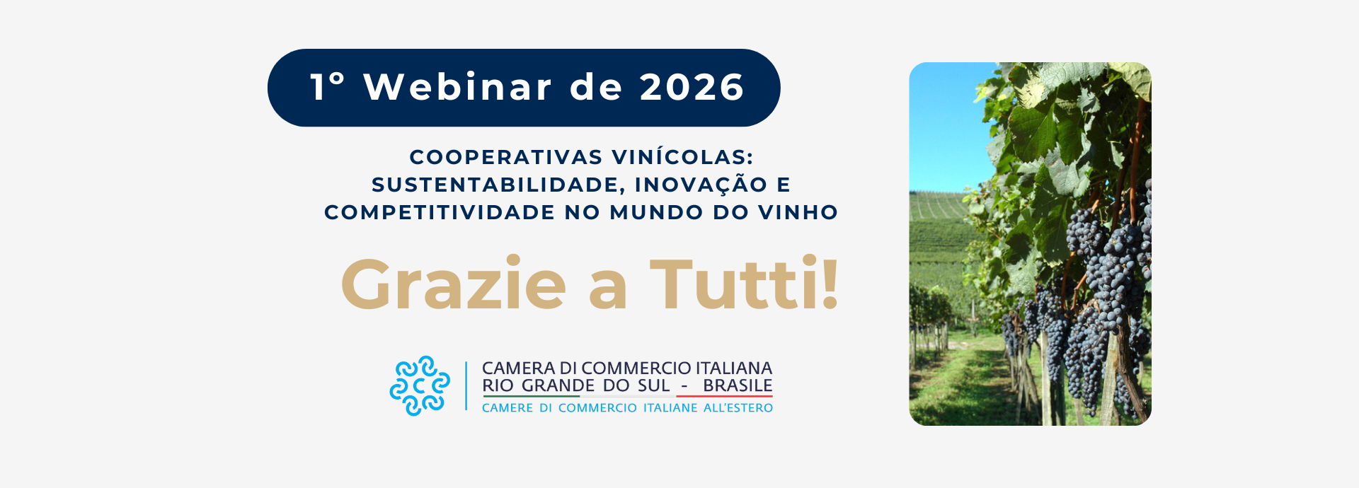 Câmara de Comércio Italiana do RS abre 2026 com debate sobre cooperativismo vitivinícola e sustentabilidade