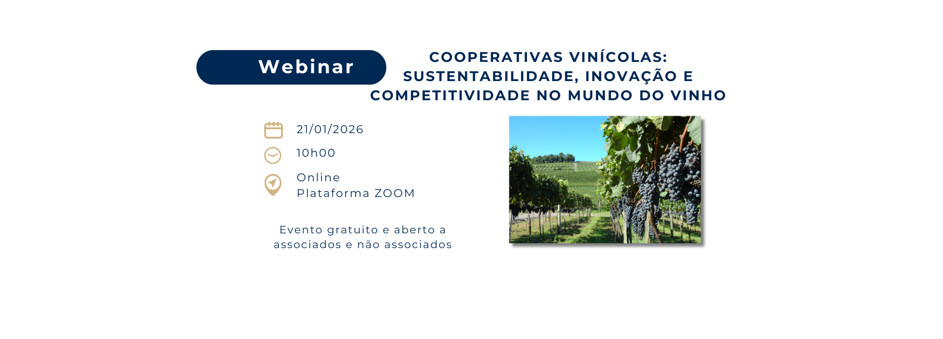 CCIRS apresenta webinar sobre cooperativismo, sustentabilidade e inovação no setor vitivinícola